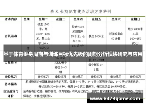 基于体育健身周期与训练目标优先级的周期分析模块研究与应用
